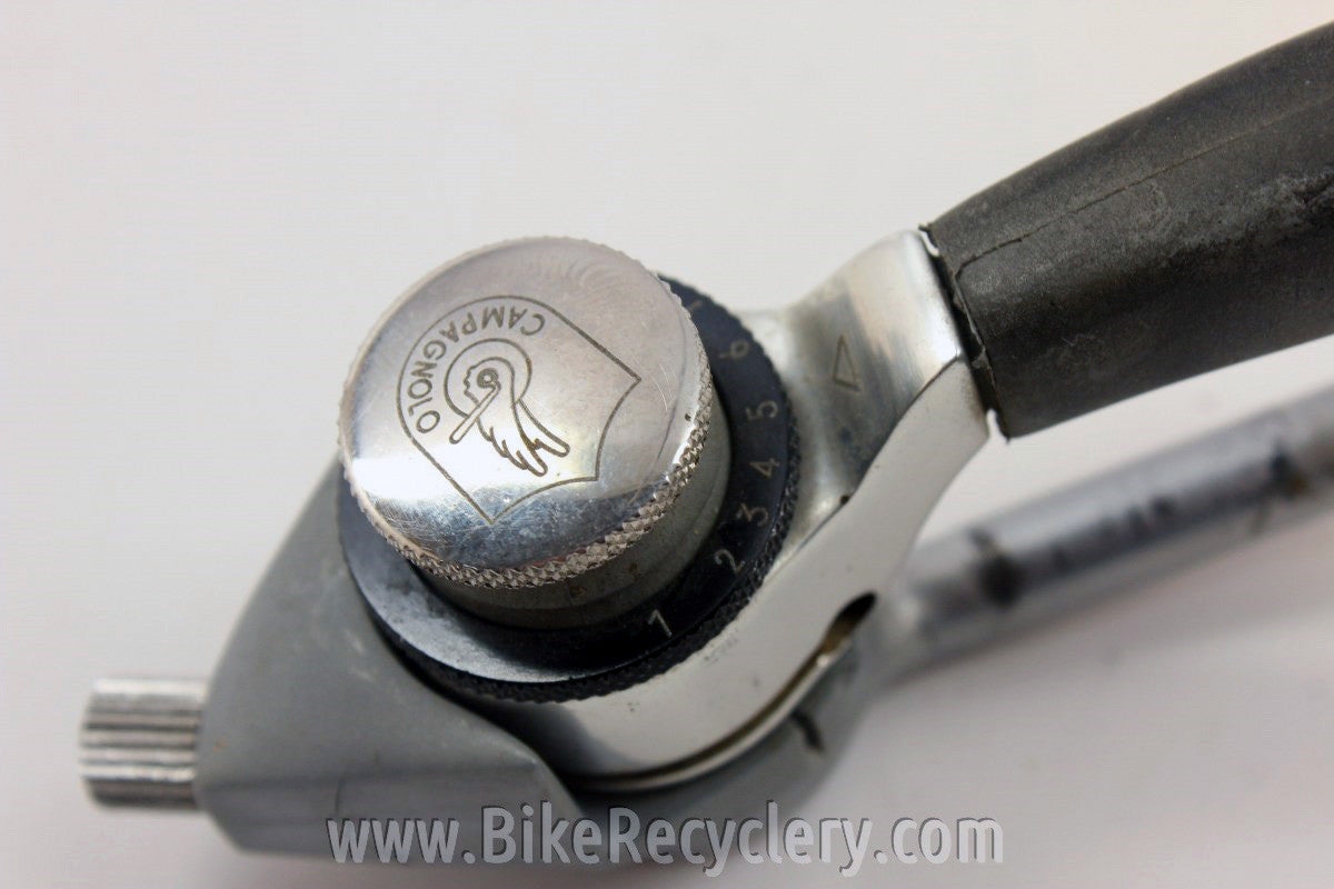 Campagnolo Euclid Thumb Shifters: 7 Speed Syncro, Rare