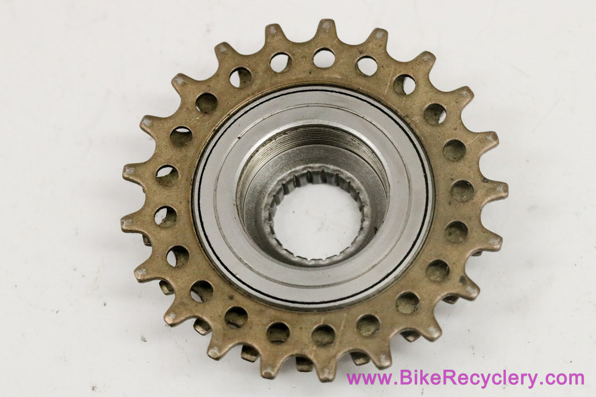 Regina ORO Freewheel: GOLD - 15t + 21t + 24t (Only 3 Cogs)