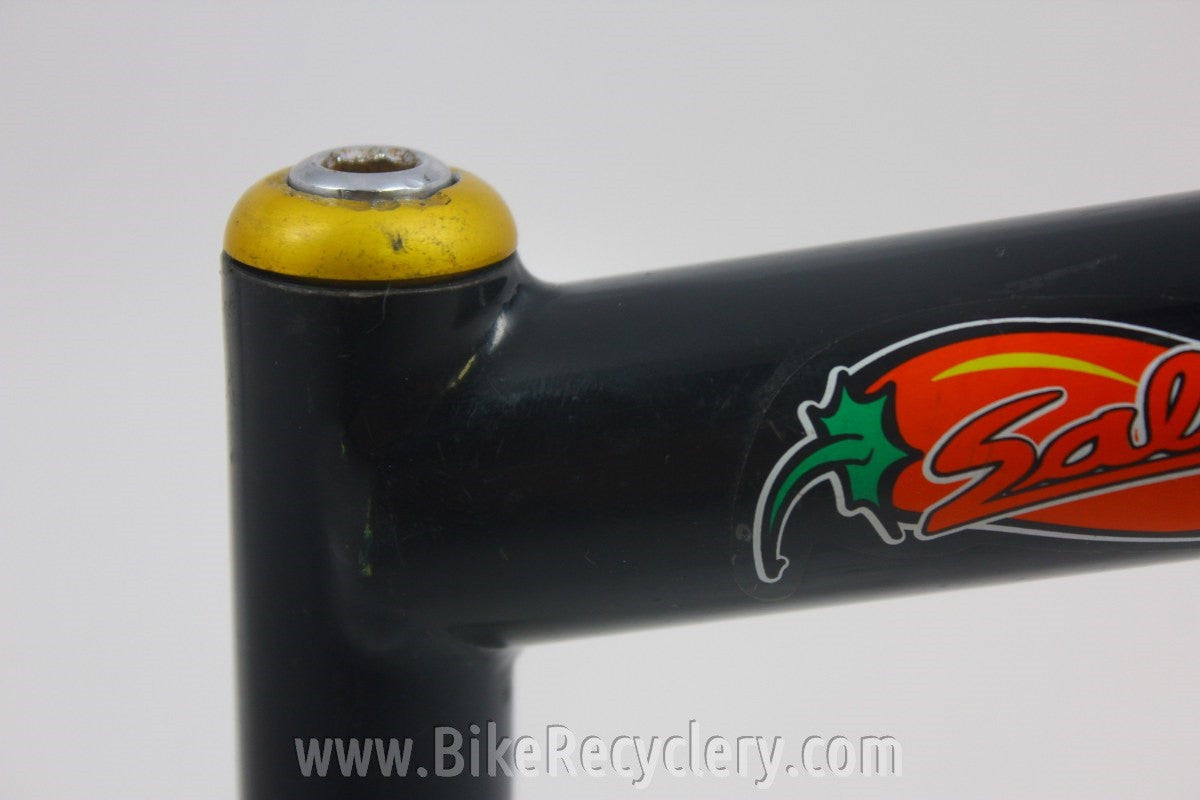 Salsa Quill Stem: Unique Pepper Decal, 135mm x 26mm