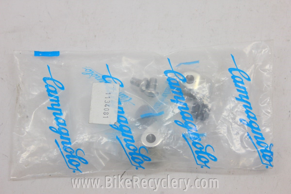 NIB Campagnolo Downtube Cable Stop Adjuster: Braze-on Downtube to Ergo