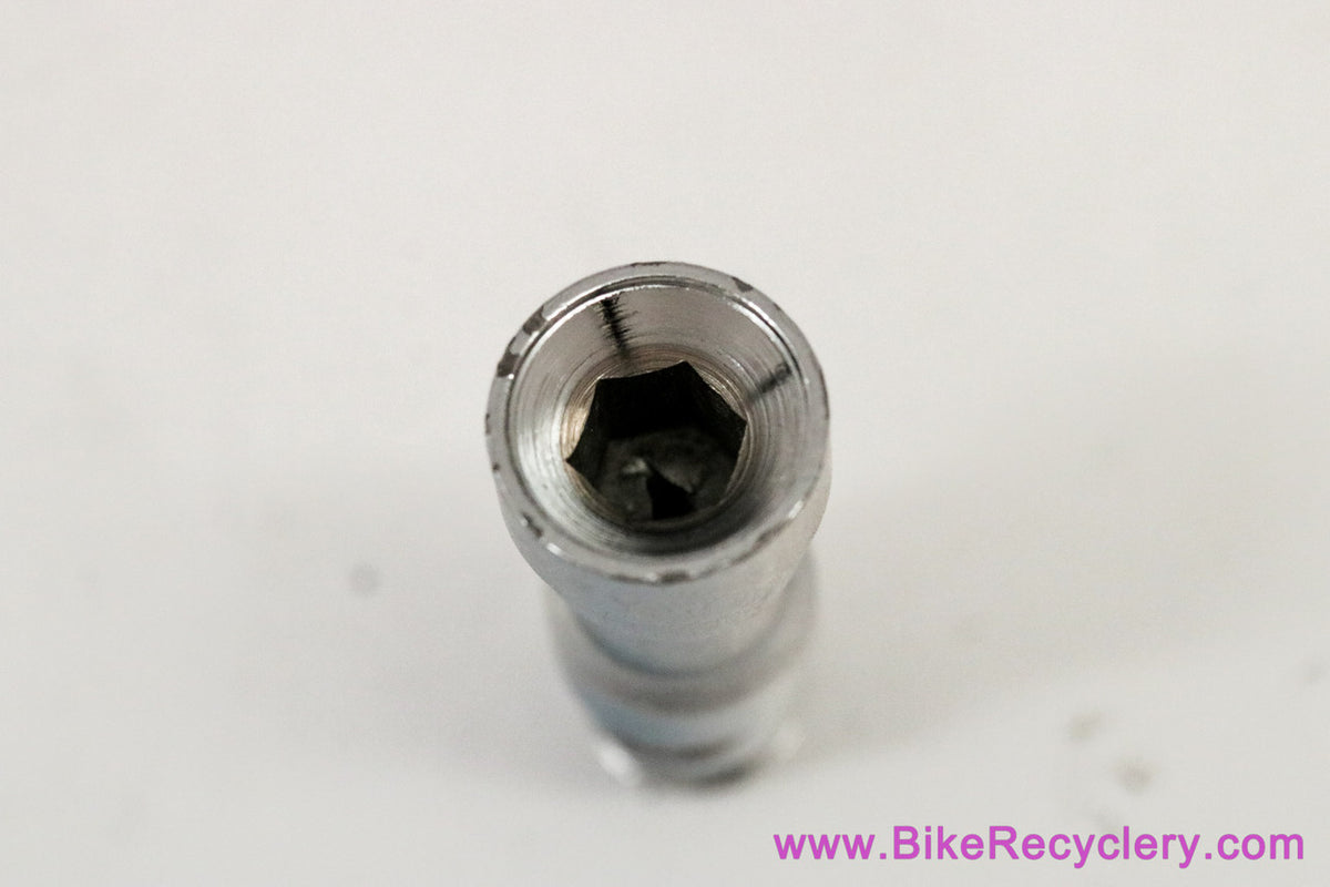 Zeus Rear Derailleur Lower Pivot Bolt: 2000 / Criterium (used)