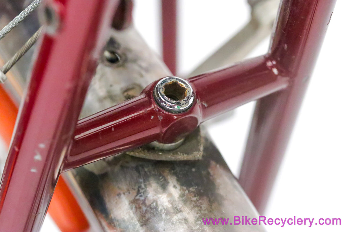 Tony Pereira Randonneur: 55cm x 57cm - Fillet Brazed - Custom Racks/Stem - Chris King HS/HB/BB - Paul - XTR - SON...