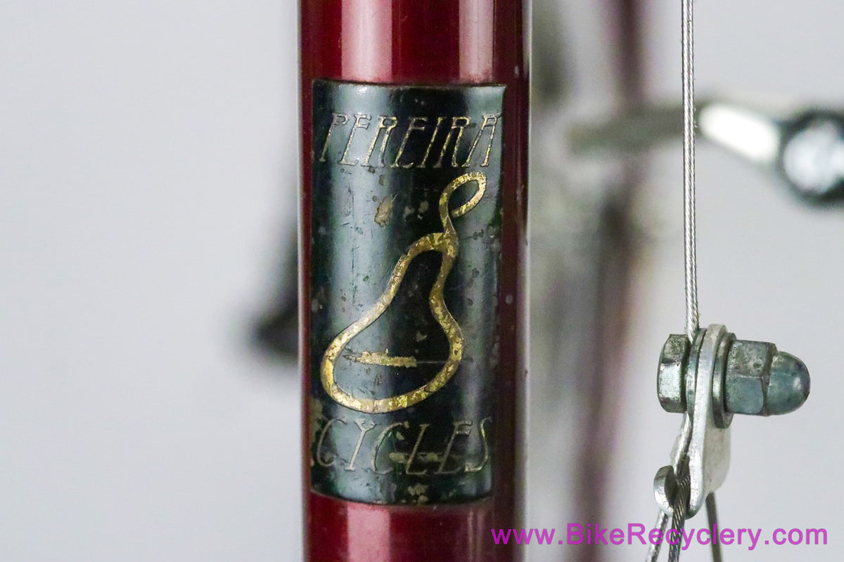 Tony Pereira Randonneur: 55cm x 57cm - Fillet Brazed - Custom Racks/Stem - Chris King HS/HB/BB - Paul - XTR - SON...