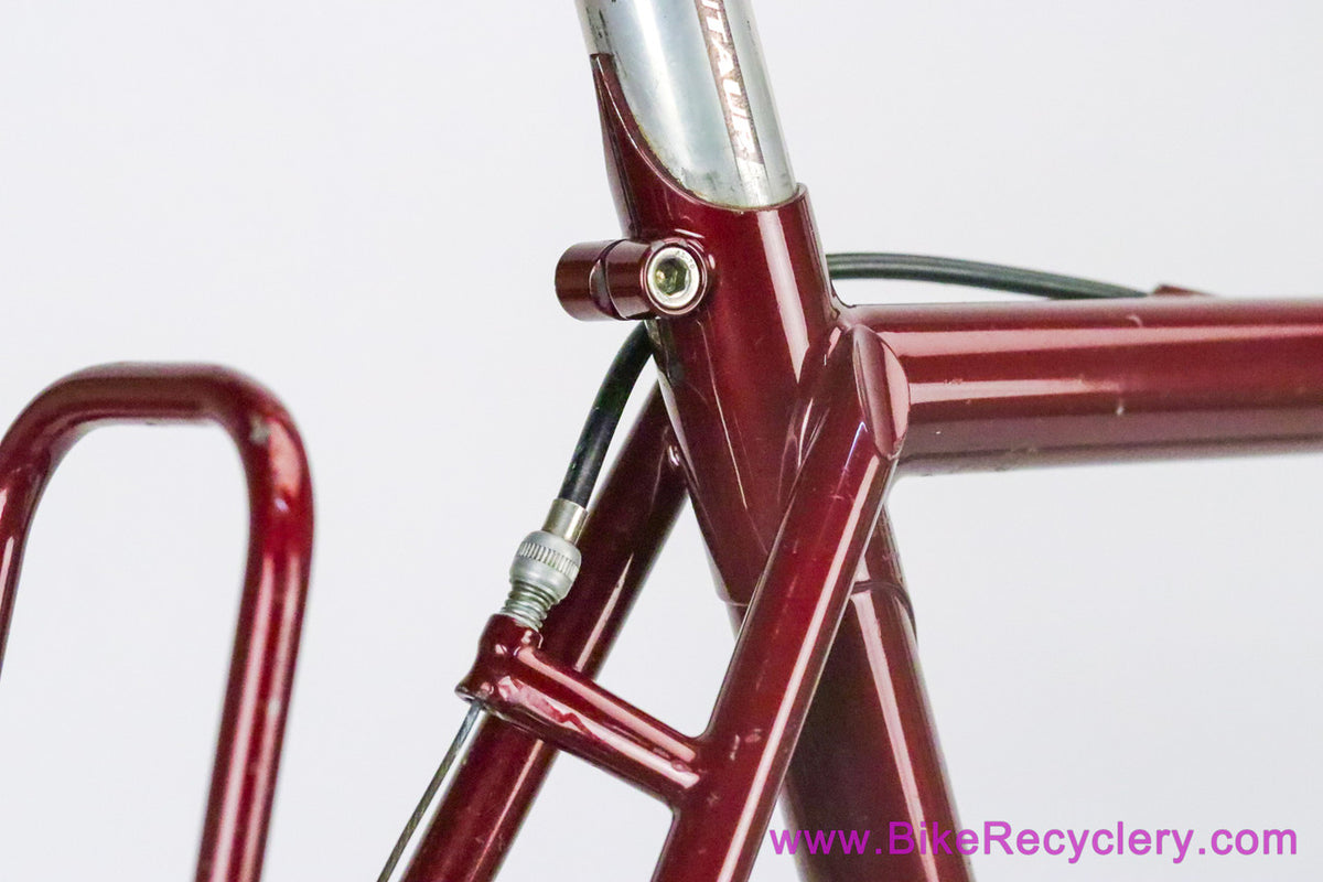 Tony Pereira Randonneur: 55cm x 57cm - Fillet Brazed - Custom Racks/Stem - Chris King HS/HB/BB - Paul - XTR - SON...