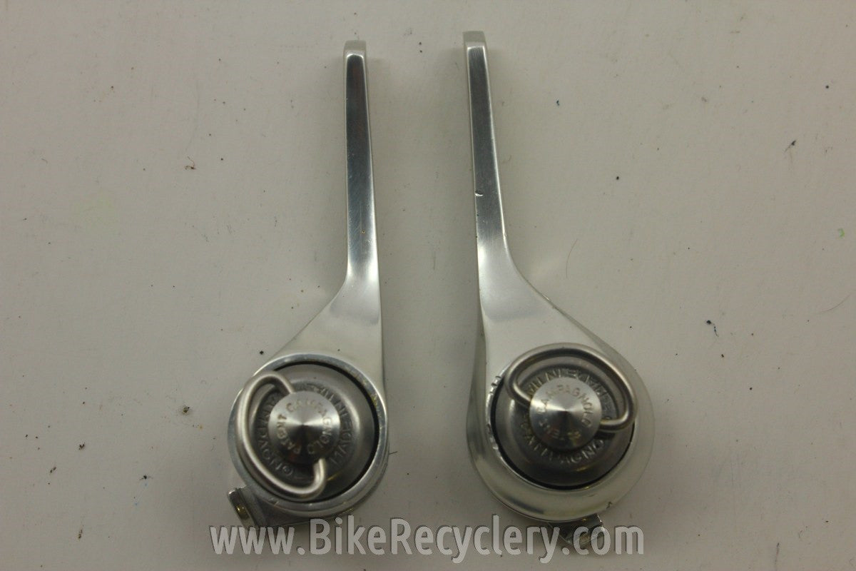 NIB (take off) Campagnolo C-Record Downtube Shifters: Friction