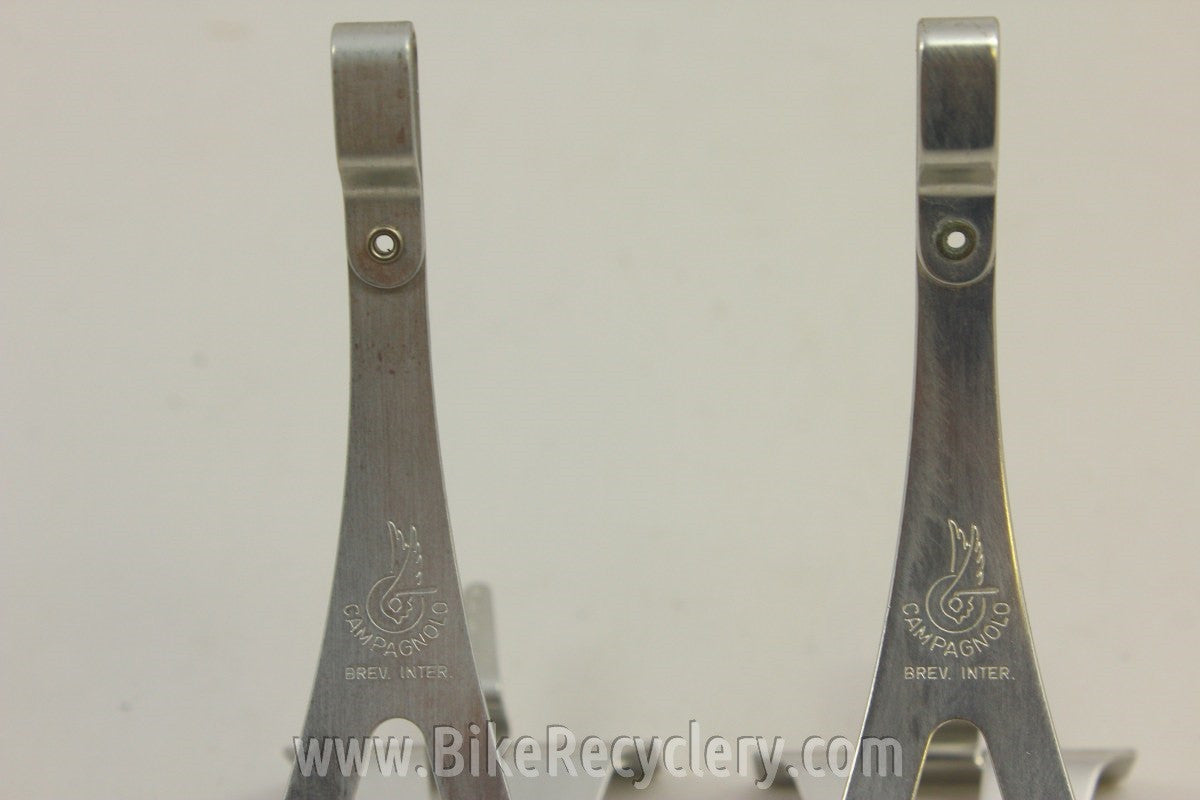 Campagnolo Record Toe Clips: Alloy, Wheel Logo, LARGE