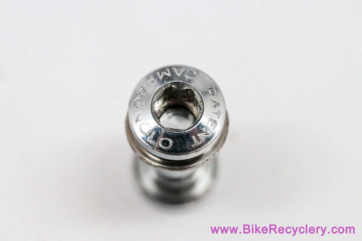 Campagnolo #1072 Seatpost Binder Bolt / Pin: 8mm - Chrome (Near Mint++)