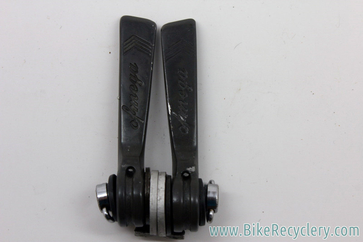 Ofmega Premier Downtube Shifters: Bianchi Edition, Friction, Rare