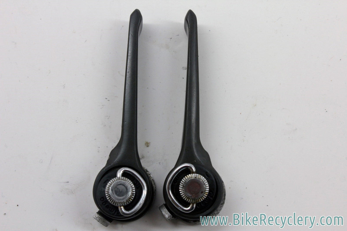 Ofmega Premier Downtube Shifters: Bianchi Edition, Friction, Rare
