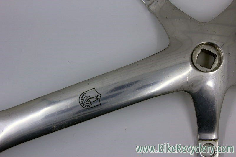 Campagnolo C-Record Drive-Side Crank Arm: 175mm, EXC