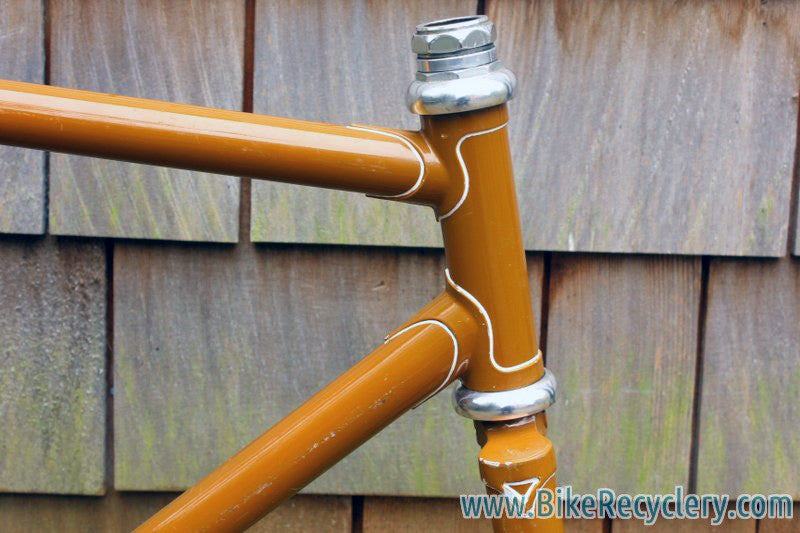 Livery Prototype Track Frame/Fork: Yoke Chainstay, Fancy Lugs & Dropouts, Columbus Steel, 53cm (c-t)