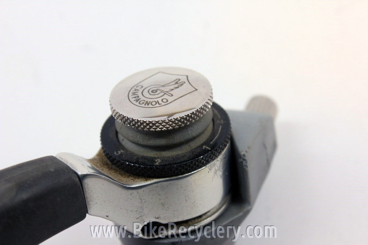 Campagnolo Euclid Thumb Shifters: 7 Speed Syncro, Rare
