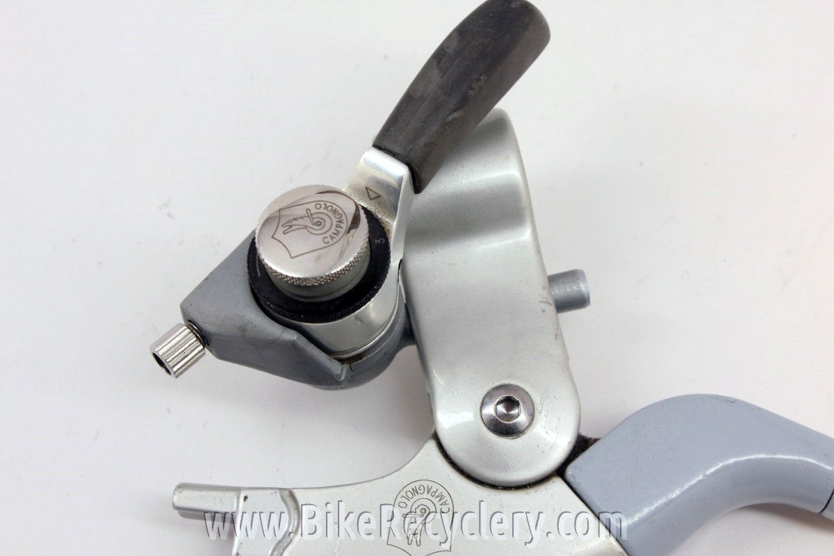 Campagnolo Euclid Thumb Shifters: 7 Speed Syncro, Rare
