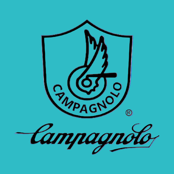 Black Campagnolo logo and wordmark on a solid turquoise background.