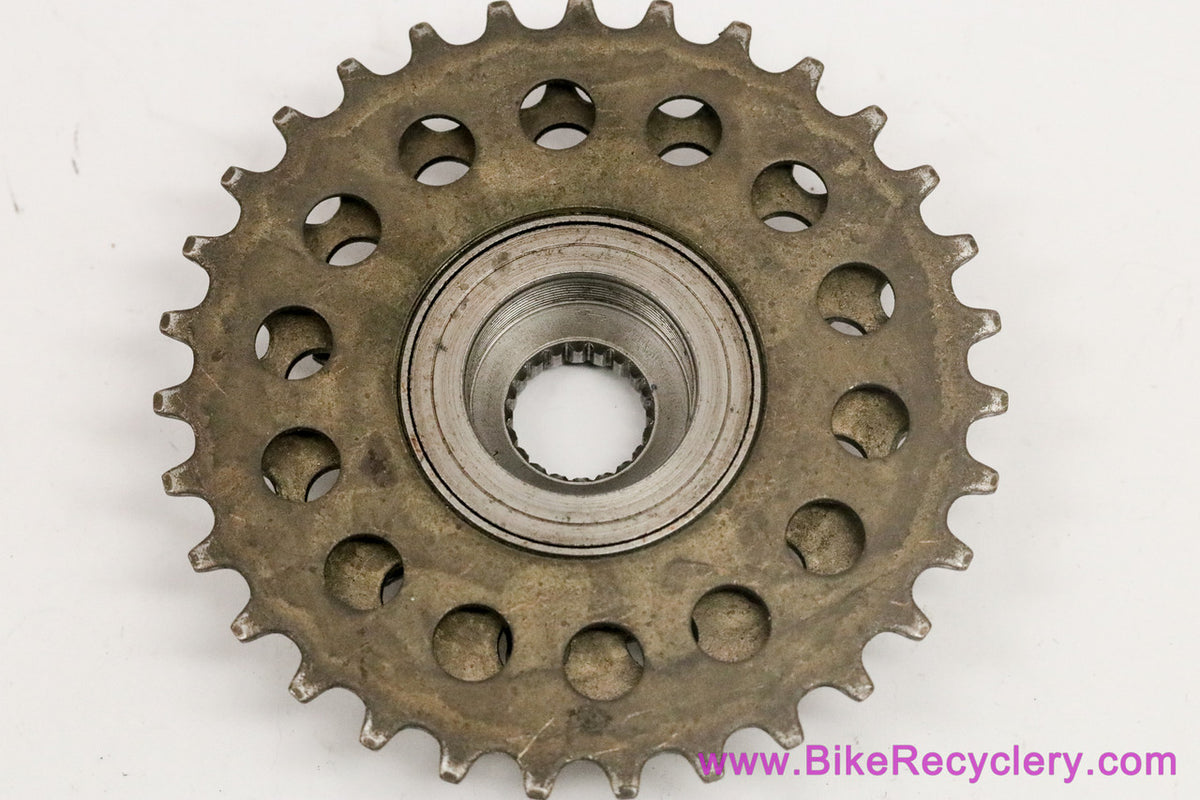 Regina Oro 5 Speed Freewheel: 14-31t Wide Range MTB/Touring - Gold (Near Mint)