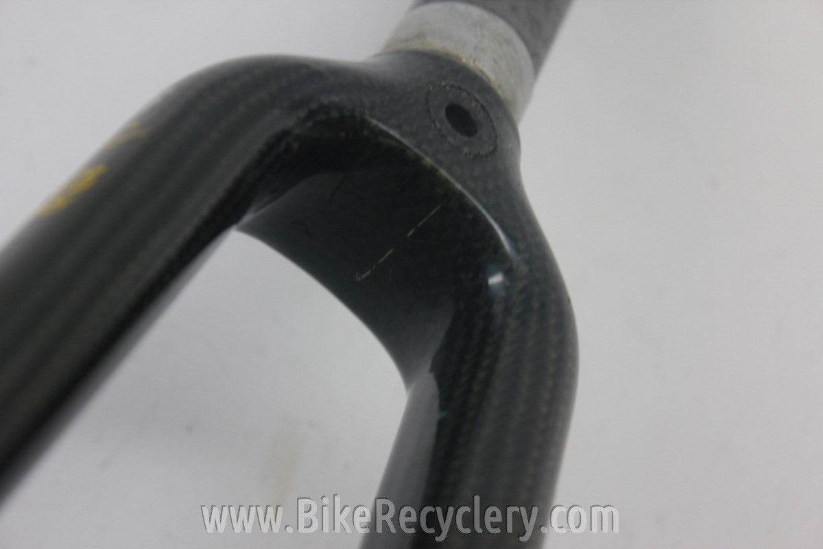 Vintage Time Carbon Road Fork: 1" Threadless