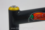 Salsa Quill Stem: Unique Pepper Decal, 135mm x 26mm