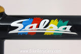 Vintage Salsa Quill Stem: 110mm x 25.4mm, MTB, Gold Cap Near Mint