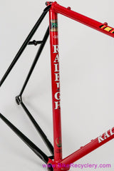 56cm Ti-Raleigh Team Professional SBDU Frameset: Reynolds 753R - 1980's (Near Mint)
