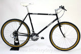 Ritchey P21 TEAM W.C.S.: FULLY Fillet Brazed, Catalog Spec w/ XTR M900, 21", PRISTINE