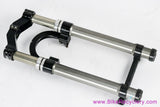 Risse Roxxxy Fork: 26" -  20mm Thru Axle - ESP Springs? (Needs Rebuild)