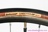 Skip Hujsak Time Trial Frameset + 24" Wheels: 55cm x 57cm - Columbus Max - Winners 2000 / Sun Mistral - Purple Pearlescent
