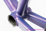 Skip Hujsak Time Trial Frameset + 24" Wheels: 55cm x 57cm - Columbus Max - Winners 2000 / Sun Mistral - Purple Pearlescent