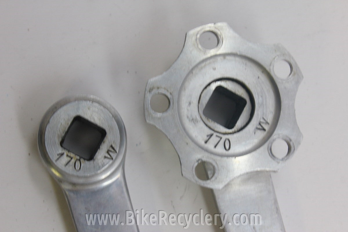Specialties TA Pro 5 Vis Cyclotourist Crank Arms: 170mm