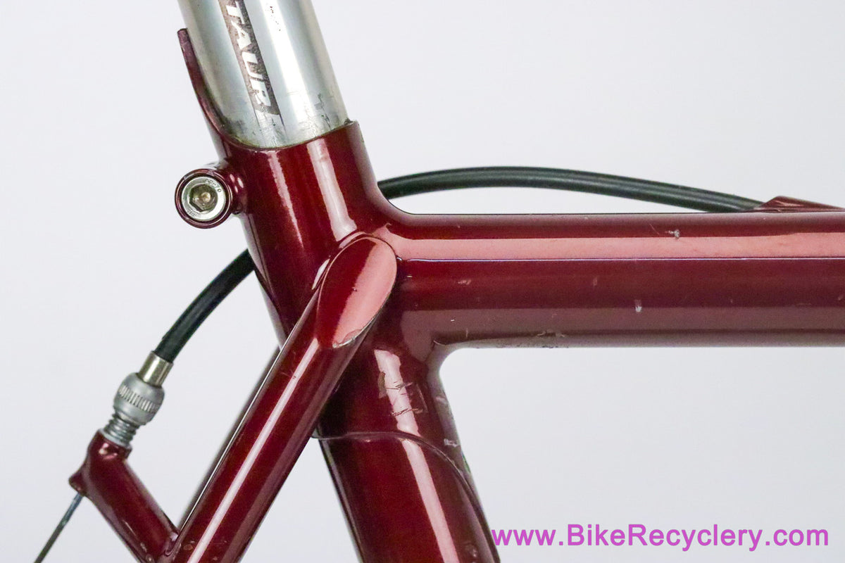 Tony Pereira Randonneur: 55cm x 57cm - Fillet Brazed - Custom Racks/Stem - Chris King HS/HB/BB - Paul - XTR - SON...