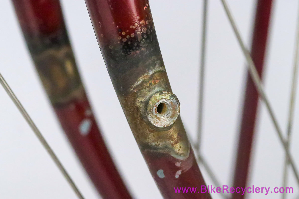 Tony Pereira Randonneur: 55cm x 57cm - Fillet Brazed - Custom Racks/Stem - Chris King HS/HB/BB - Paul - XTR - SON...