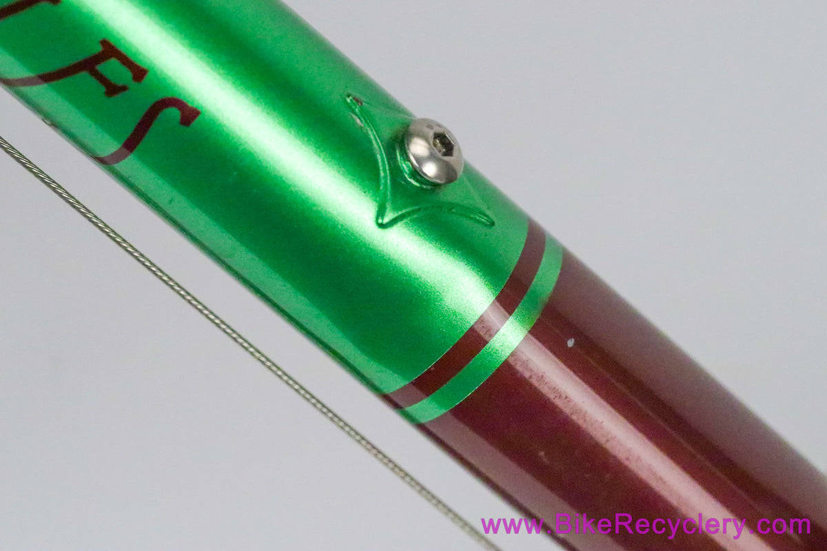 Tony Pereira Randonneur: 55cm x 57cm - Fillet Brazed - Custom Racks/Stem - Chris King HS/HB/BB - Paul - XTR - SON...