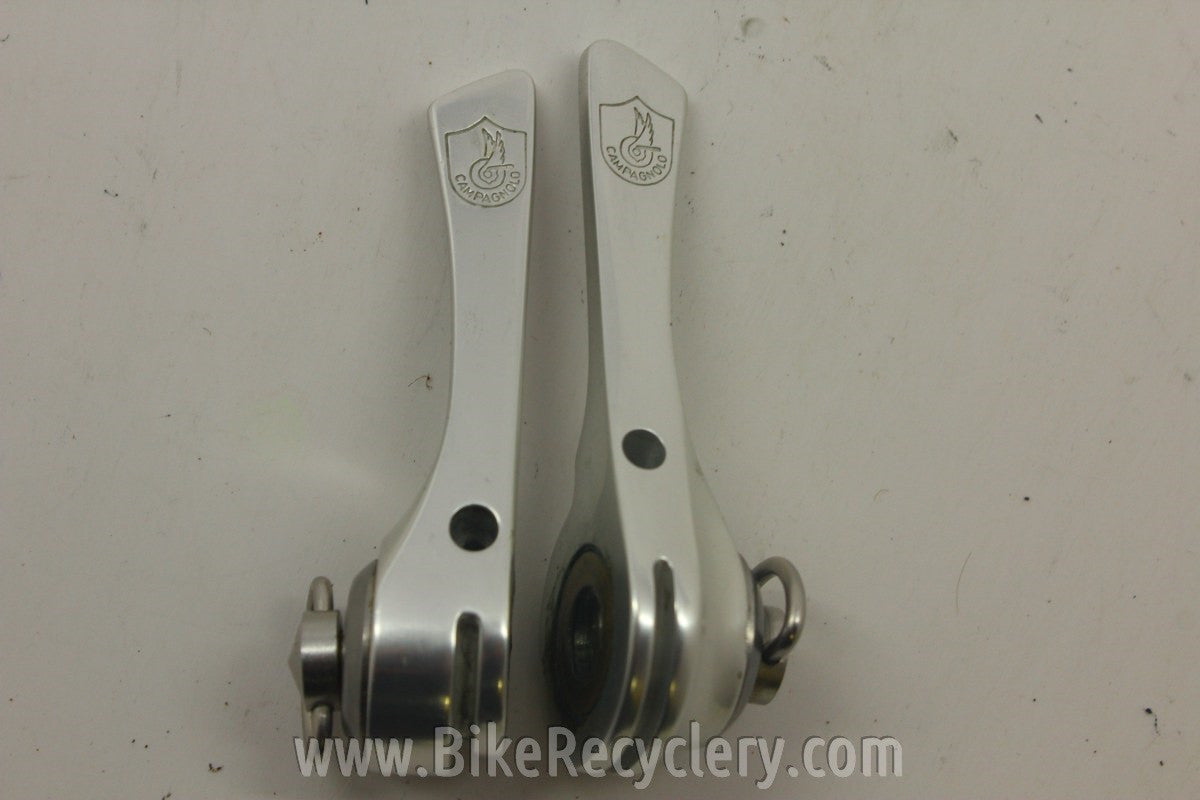 NIB (take off) Campagnolo C-Record Downtube Shifters: Friction
