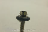 Campagnolo Brake Barrel Adjusters! Titanium w/ Black O-Rings, 5g (Pair)