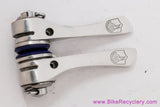 Campagnolo C-Record 1st Gen Downtube Shifters: Pure Friction - #0118074