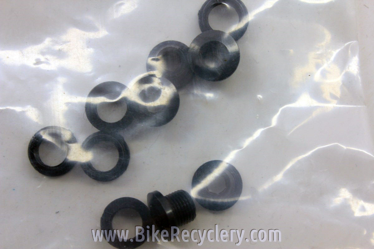 Problem Solvers Singlespeed Chainring Bolts: Alloy, Black