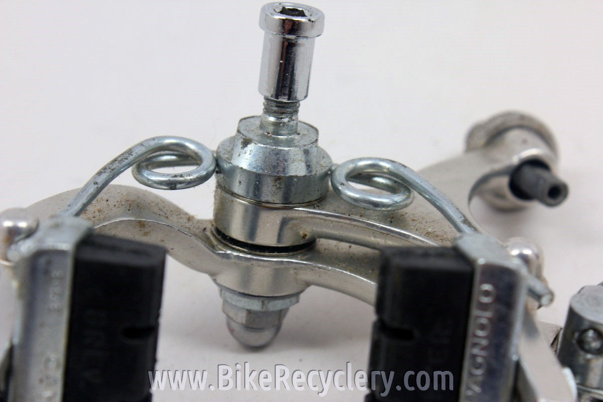 Pantographed Campagnolo Gran Sport Rear Brake: Italian Flag