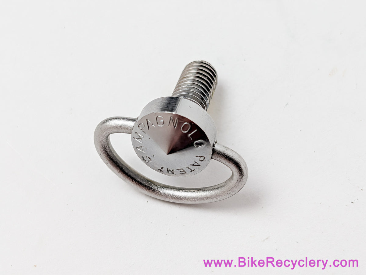 NOS Campagnolo  Syncro + NR/SR Downtube Shifter Friction Adjusting D-Ring Screw: #604/1 - Stainless Steel (SOLD INDIVIDUALLY)