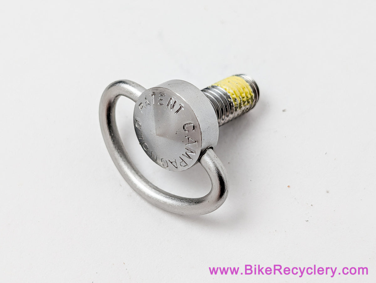 NOS Campagnolo  Syncro + NR/SR Downtube Shifter Friction Adjusting D-Ring Screw: #604/1 - Stainless Steel (SOLD INDIVIDUALLY)