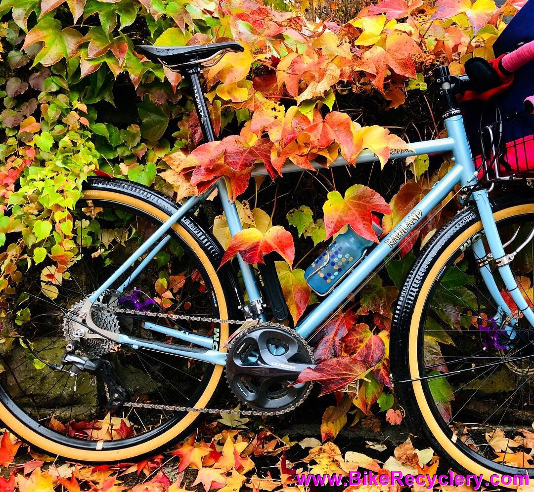WTT: 55cm Rawland Nordavinden DISC 650b (Klamper/SON/Ultegra) For Your 56/57cm Gravel/AllRoad