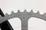 BLACK Specialties TA Pro 5 Vis Cyclotourist Crankset: 175mm, 50T RARE
