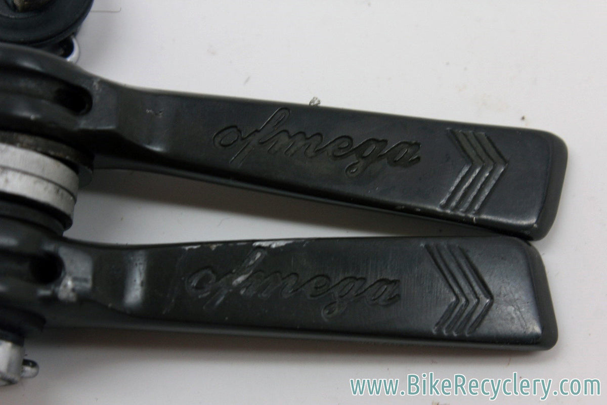 Ofmega Premier Downtube Shifters: Bianchi Edition, Friction, Rare