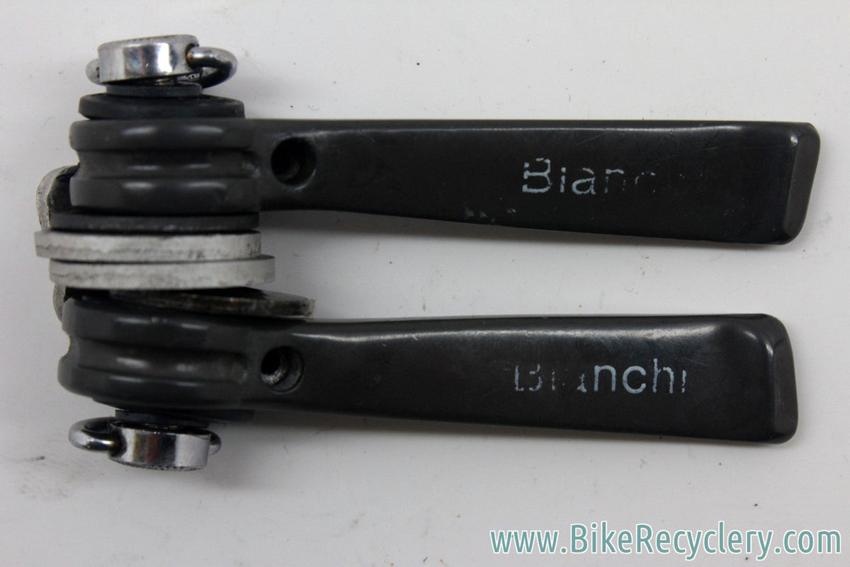 Ofmega Premier Downtube Shifters: Bianchi Edition, Friction, Rare