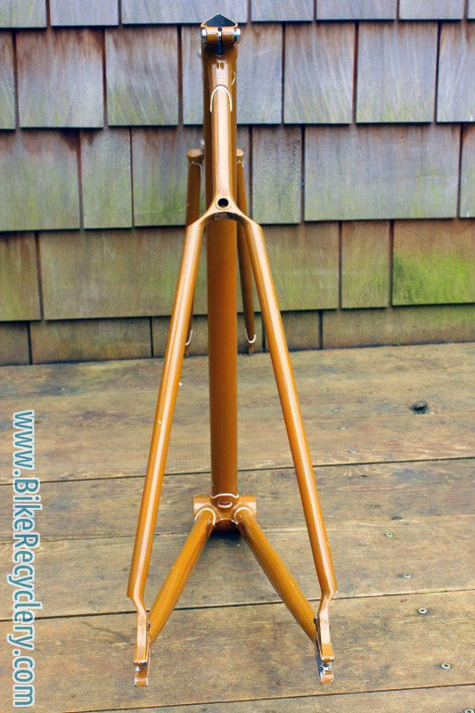 Livery Prototype Track Frame/Fork: Yoke Chainstay, Fancy Lugs & Dropouts, Columbus Steel, 53cm (c-t)
