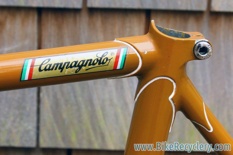Livery Prototype Track Frame/Fork: Yoke Chainstay, Fancy Lugs & Dropouts, Columbus Steel, 53cm (c-t)
