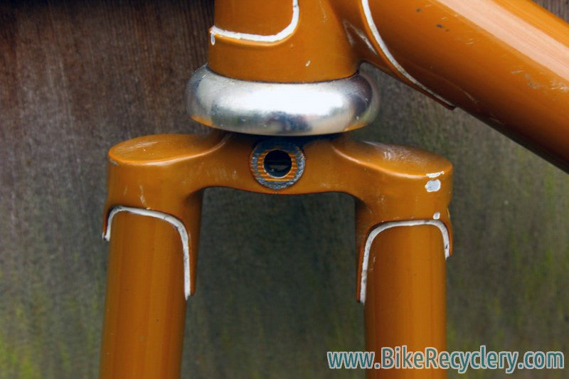 Livery Prototype Track Frame/Fork: Yoke Chainstay, Fancy Lugs & Dropouts, Columbus Steel, 53cm (c-t)