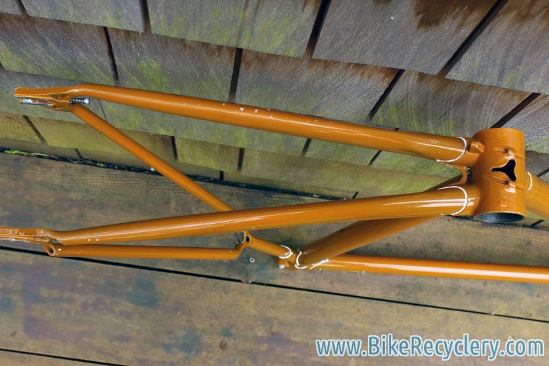 Livery Prototype Track Frame/Fork: Yoke Chainstay, Fancy Lugs & Dropouts, Columbus Steel, 53cm (c-t)