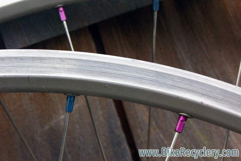 White Industries / Mavic SUP 26" Wheelset: Blue/Purple Ano Nipples, 32H, 8/9 Speed