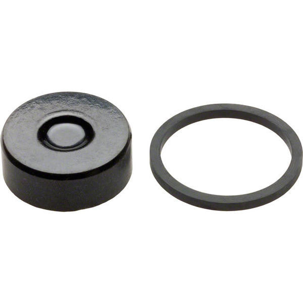 Hayes G1/G2 Piston Kit: 98-14532 (NEW)