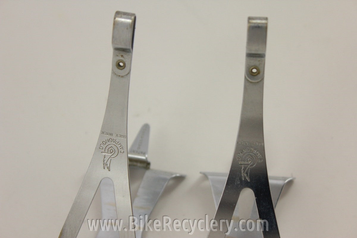 Campagnolo Super Record Toe Clips: Large? Medium?