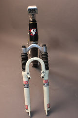 1998 GT STS 1000-DS Frame: Thermoplastic Carbon Fiber, Rockshox Super Deluxe, RARE